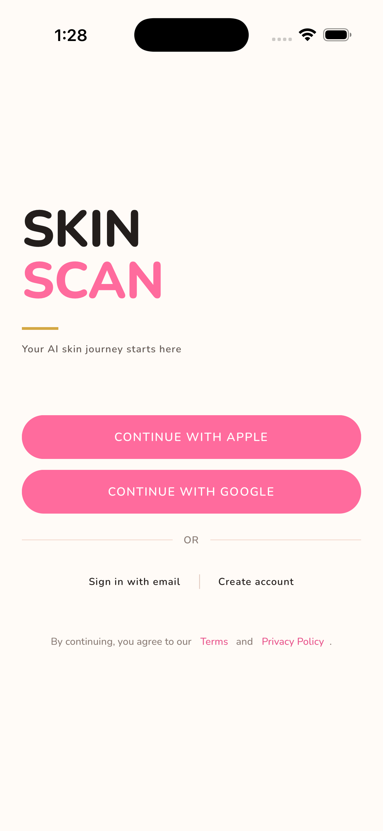 Login screen
